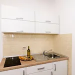 Apartman Raic *