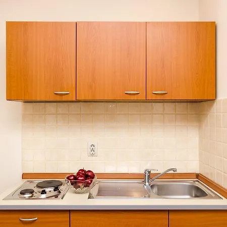 Raic Apartament *